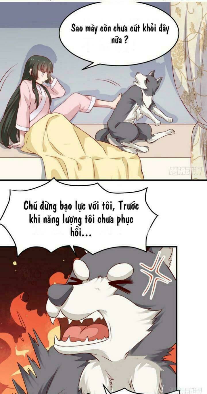 Công Chúa Là Nam Nhân Chương 10 Ảnh 4