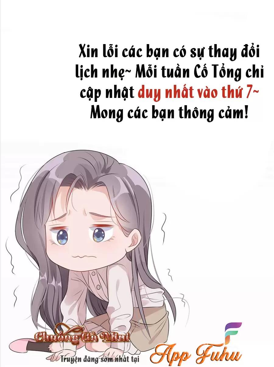 Cố Tổng, Vợ Của Ngài Quá Mạnh Rồi! Chương 81 Ảnh 49