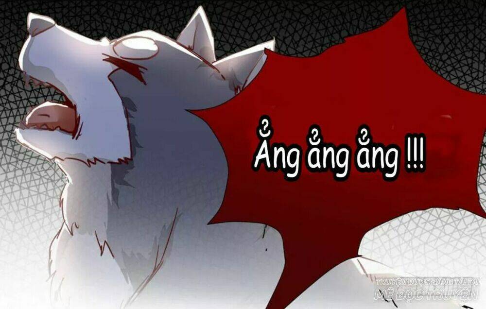 Công Chúa Là Nam Nhân Chương 6.2 Ảnh 7