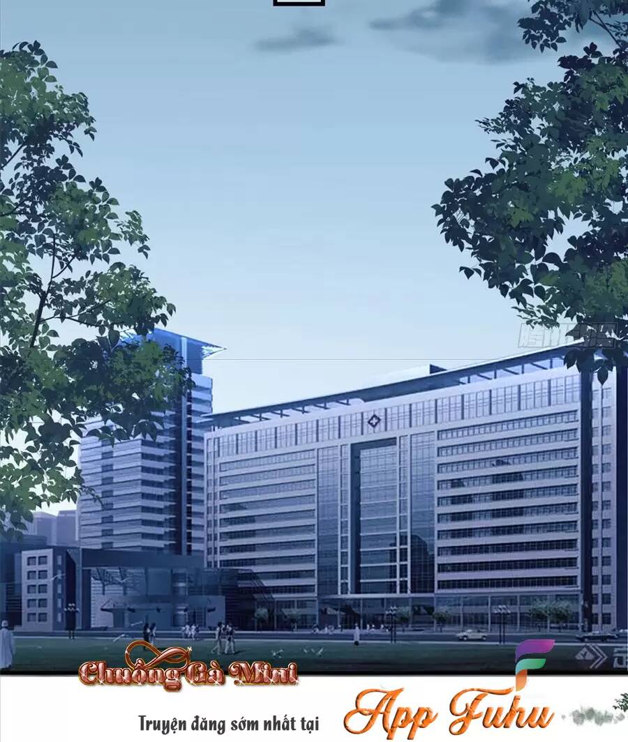 Cố Tổng, Vợ Của Ngài Quá Mạnh Rồi! Chương 72 Ảnh 9