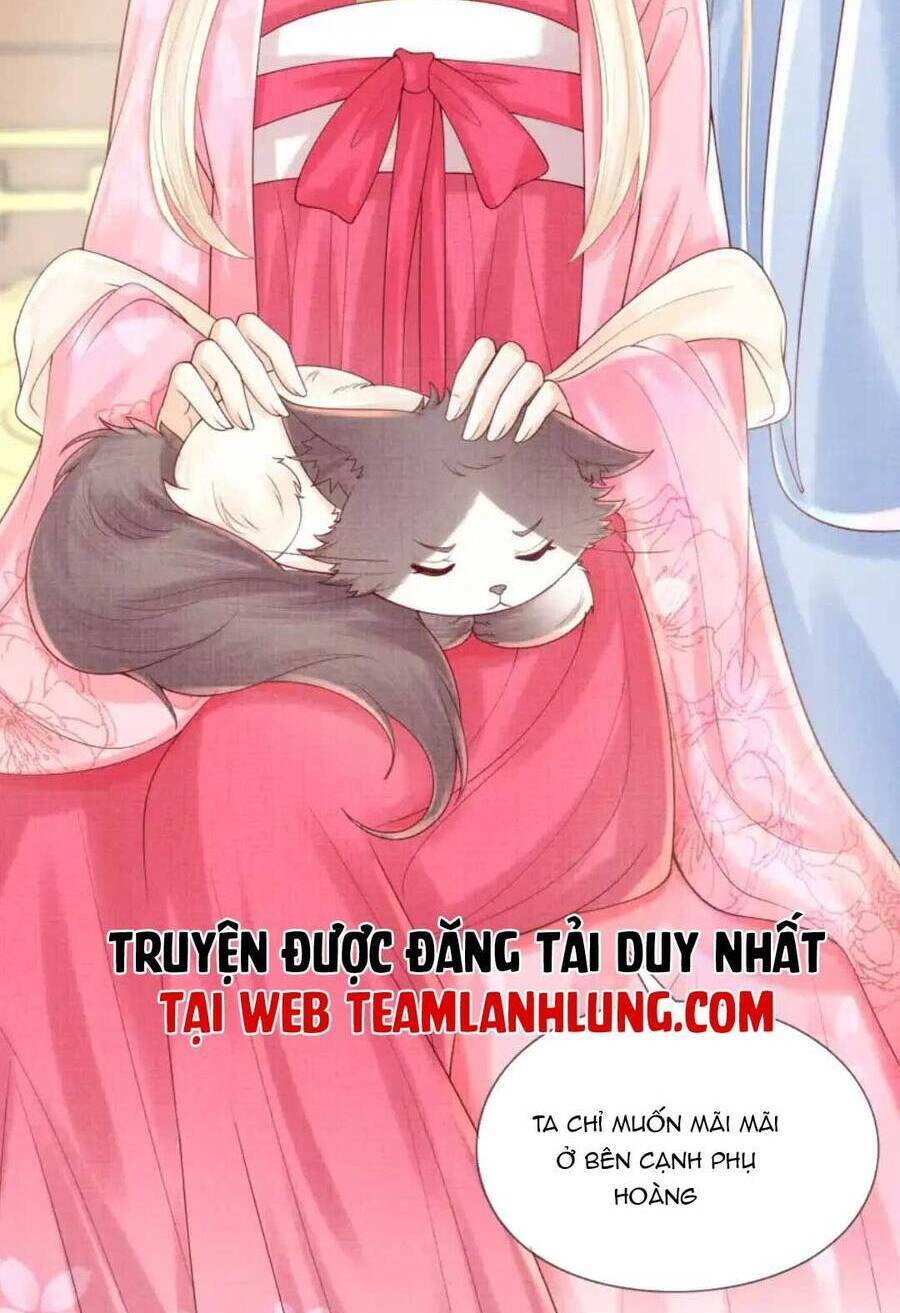 Các Đệ Tử Ai Cũng Nói Yêu Ta Chương 19 Ảnh 20