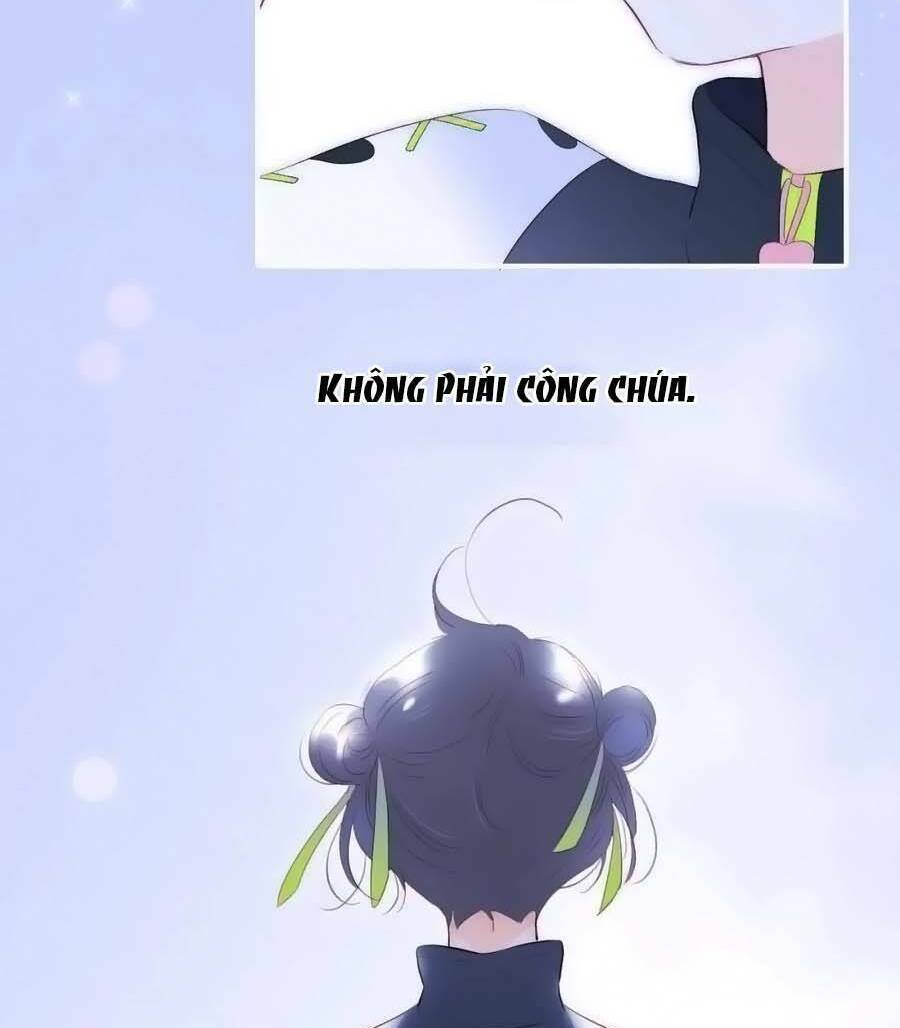 Hoa Bỏ Chạy Với Nhím Rồi Chương 97 Ảnh 41