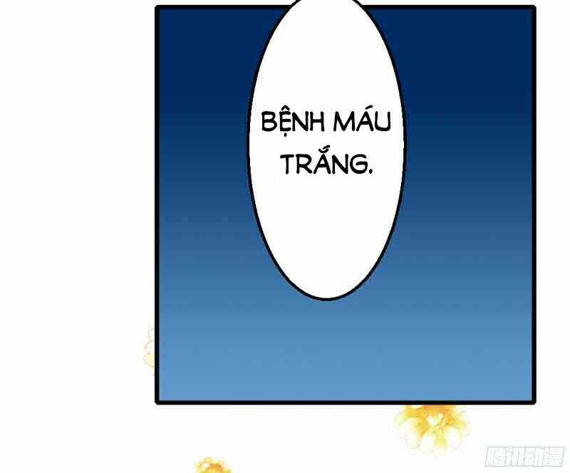 Ác Ma Chủ Tịch Xin Buông Tay Chương 1 Ảnh 34