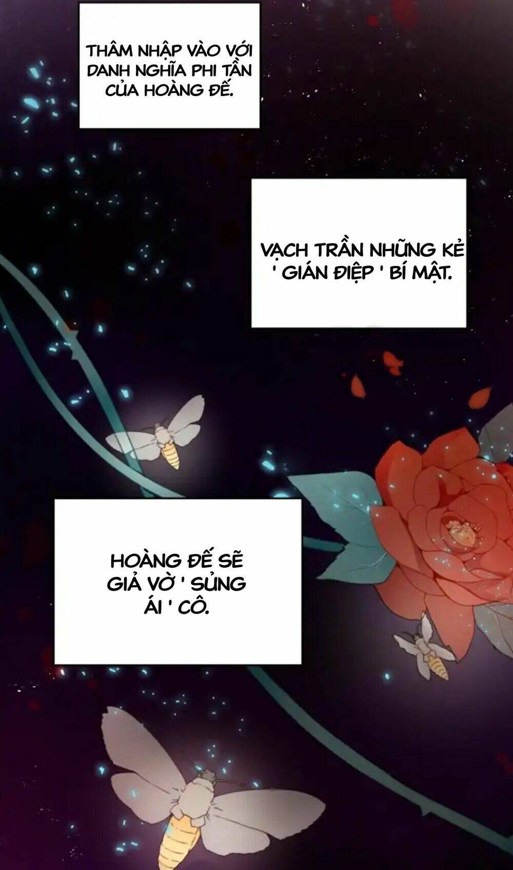 Bản Hợp Đồng Hôn Nhân Chương 3 Ảnh 13