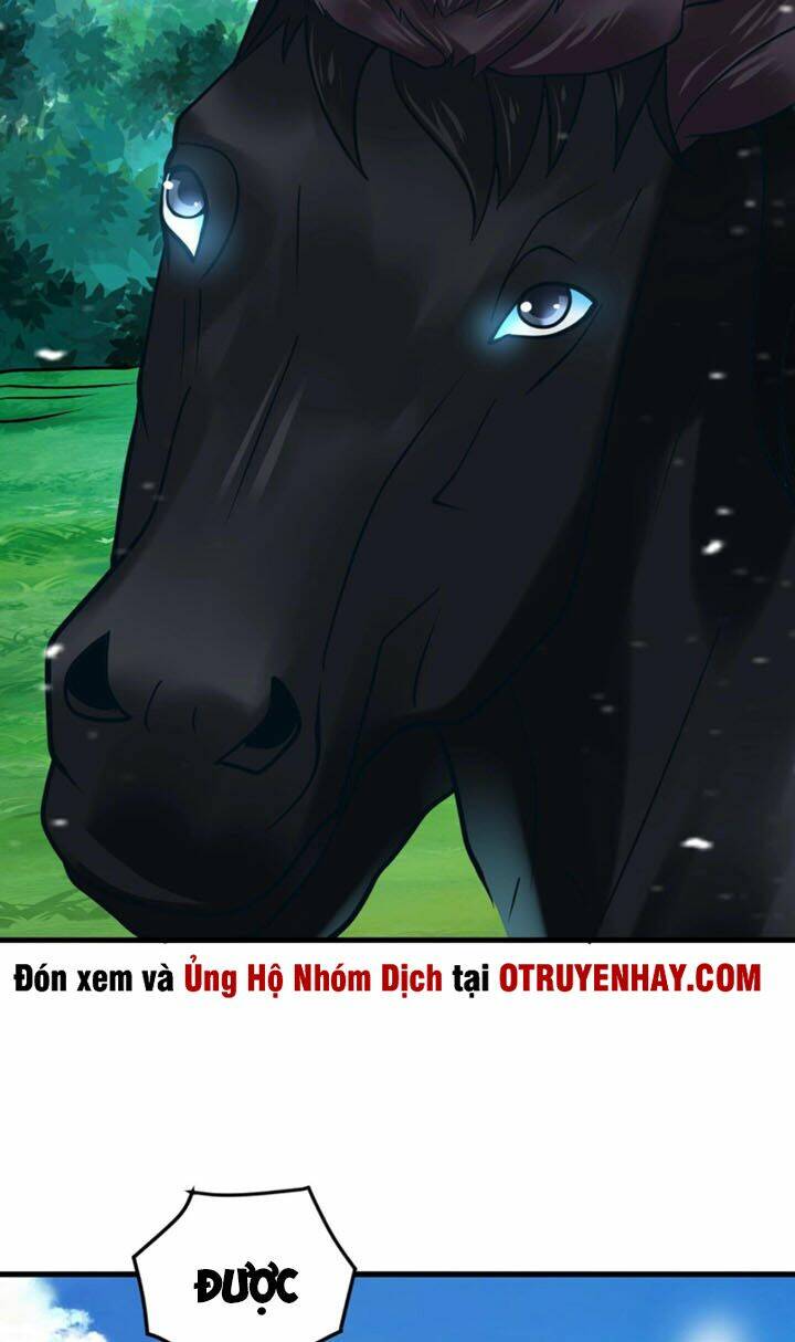 Sư Tổ Của Ta Là Thiên Hạ Đệ Nhất Chương 20 Ảnh 62