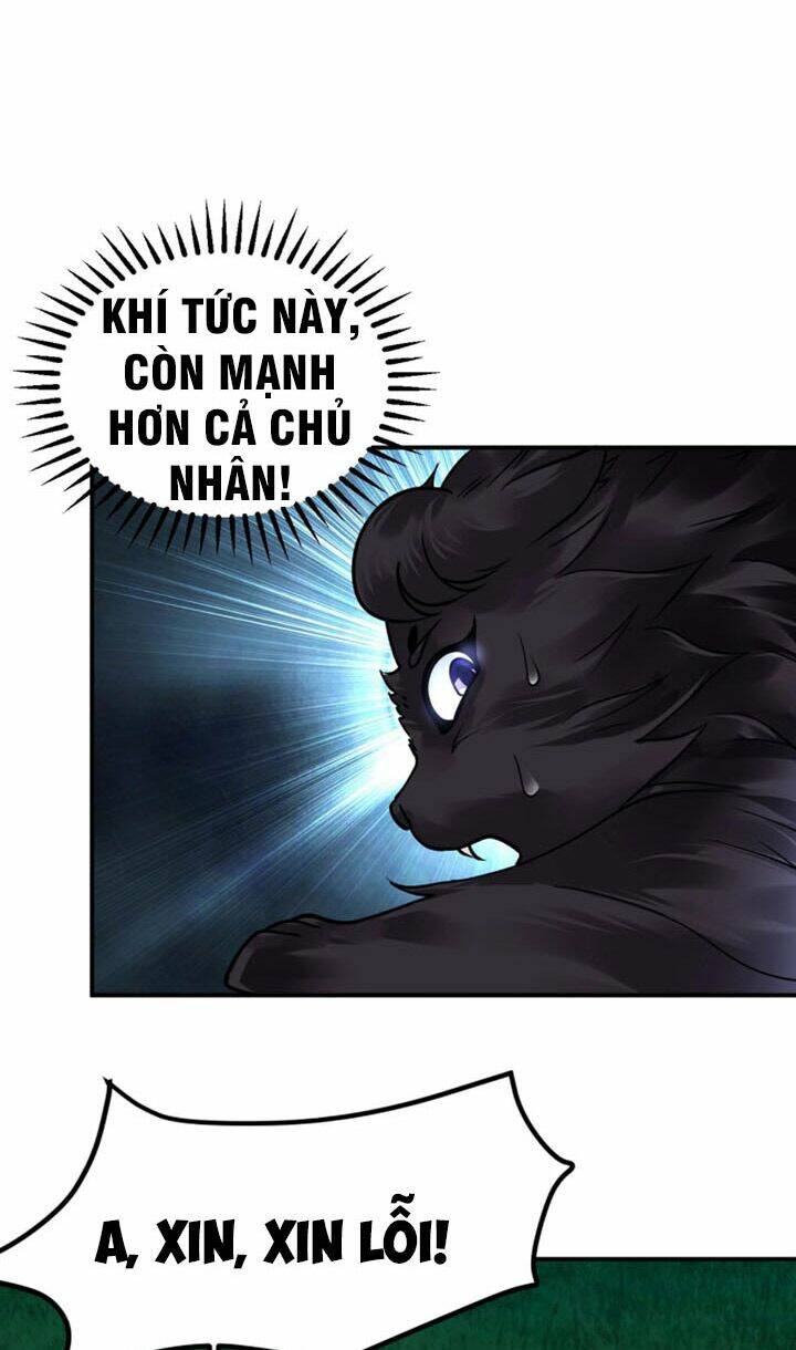 Sư Tổ Của Ta Là Thiên Hạ Đệ Nhất Chương 19 Ảnh 32