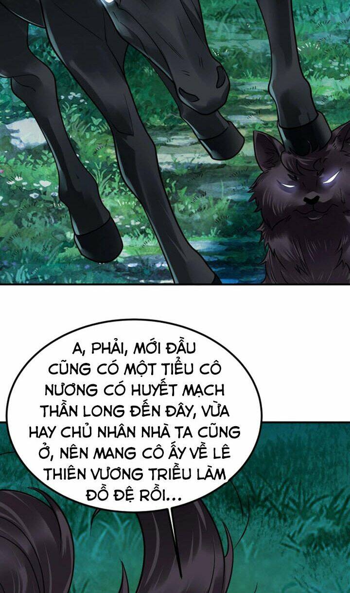 Sư Tổ Của Ta Là Thiên Hạ Đệ Nhất Chương 19 Ảnh 38