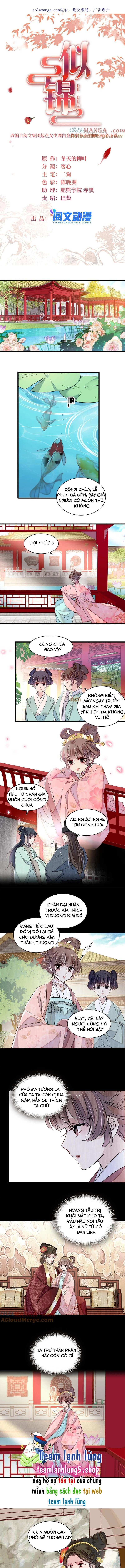 Tự Cẩm Chương 389 Ảnh 4