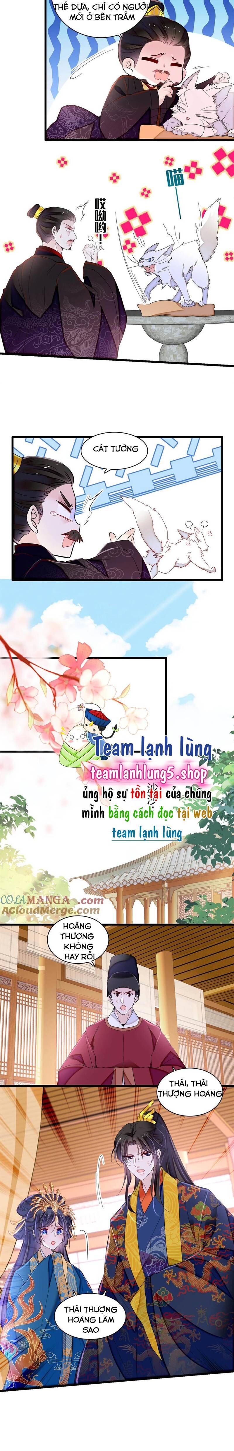 Tự Cẩm Chương 386 Ảnh 8