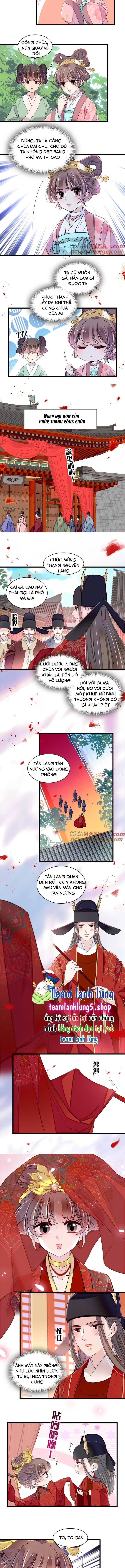 Tự Cẩm Chương 389 Ảnh 7