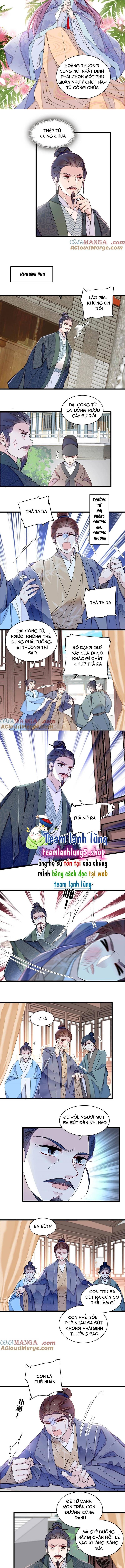 Tự Cẩm Chương 393 Ảnh 5