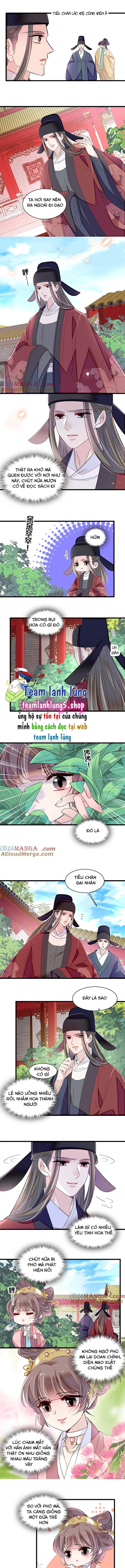 Tự Cẩm Chương 389 Ảnh 6