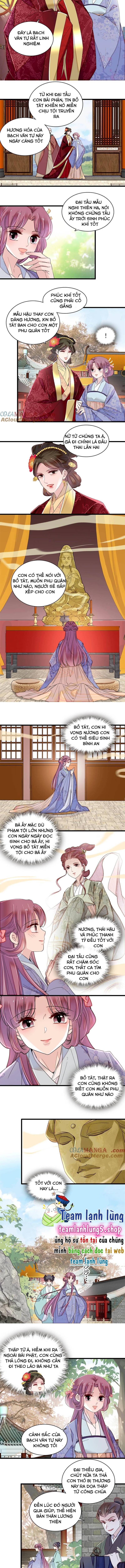 Tự Cẩm Chương 393 Ảnh 7