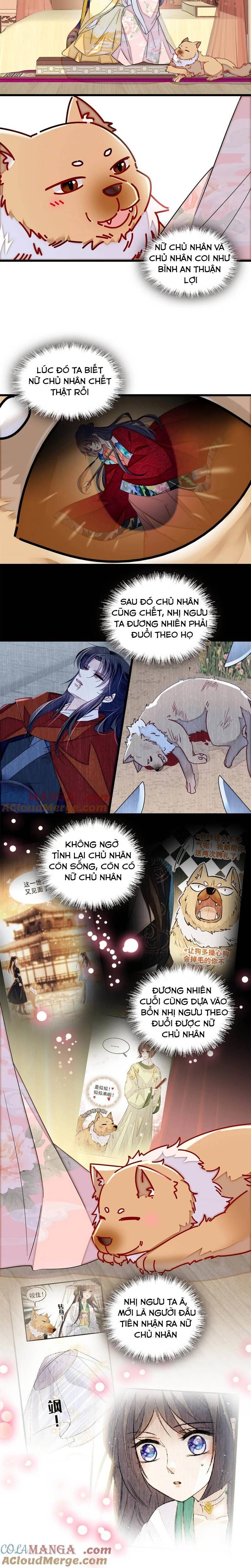 Tự Cẩm Chương 388 Ảnh 8