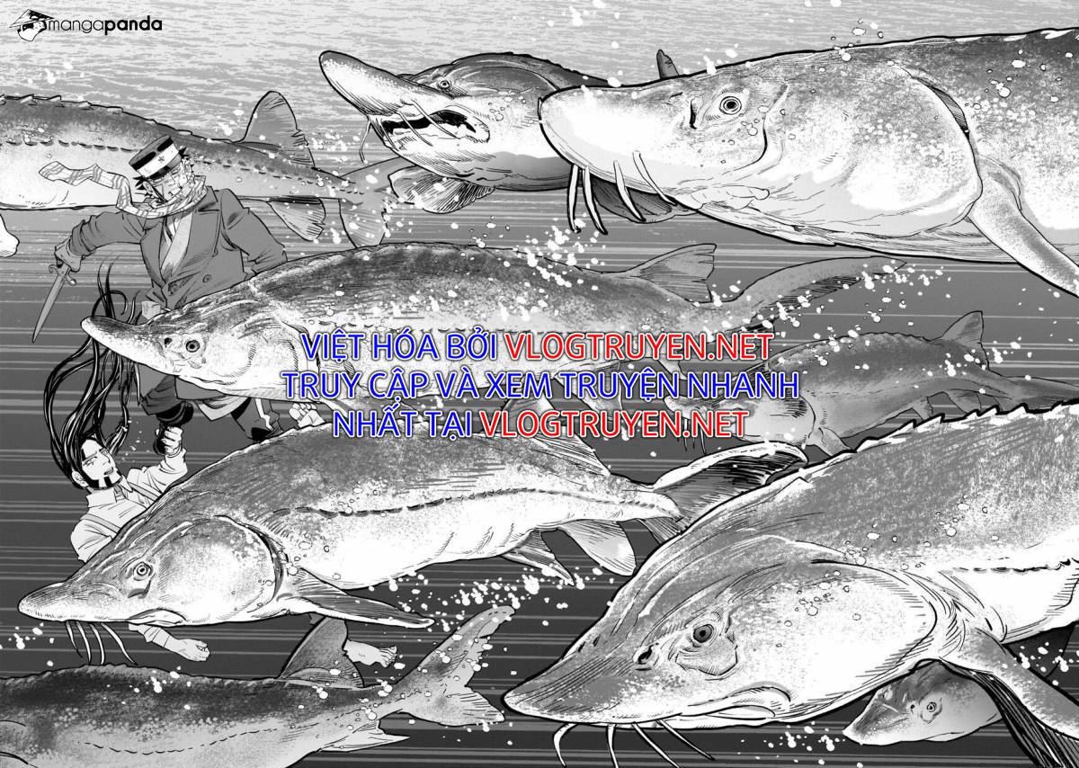 Cơn Sốt Vàng Sau Chiến Tranh Chương 237 Ảnh 15