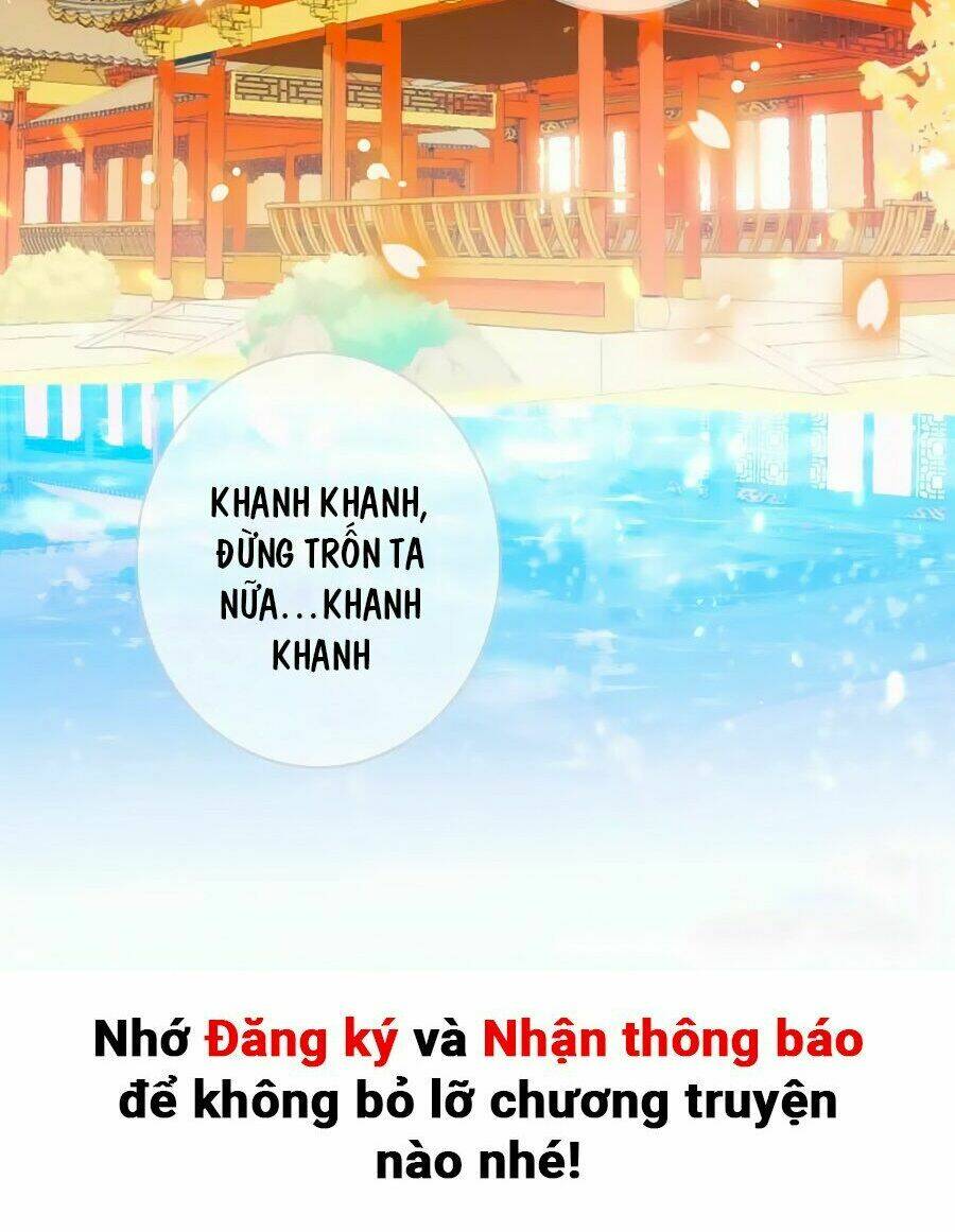 Vương Phi, Vương Gia Nhà Ngươi Không Ngốc Nữa Rồi Chương 10 Ảnh 27