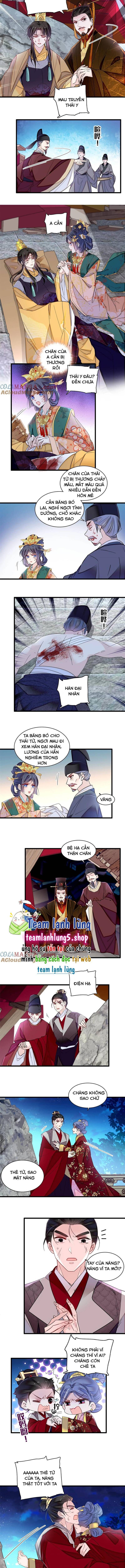 Tự Cẩm Chương 381 Ảnh 8