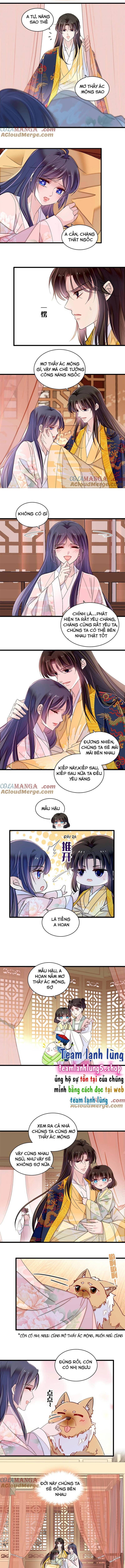 Tự Cẩm Chương 388 Ảnh 7