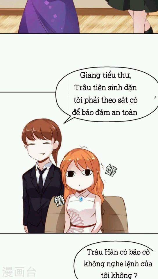 Người Vợ Bí Ẩn Của Tổng Tài Chương 12 Ảnh 21