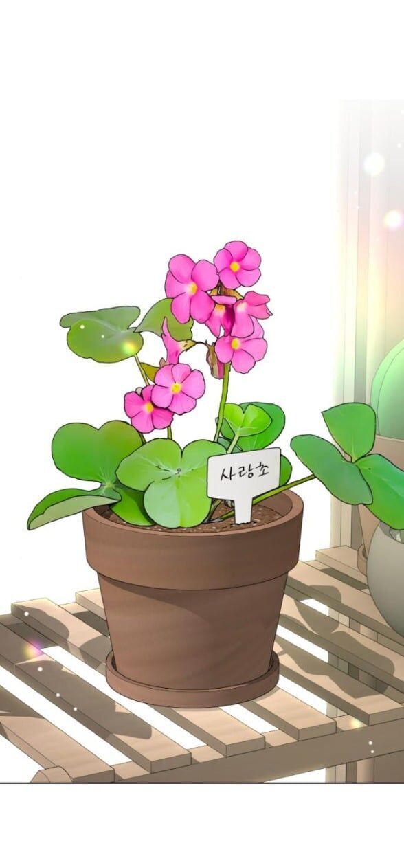 Tình Yêu Của Ik Seob Chương 70 Ảnh 36