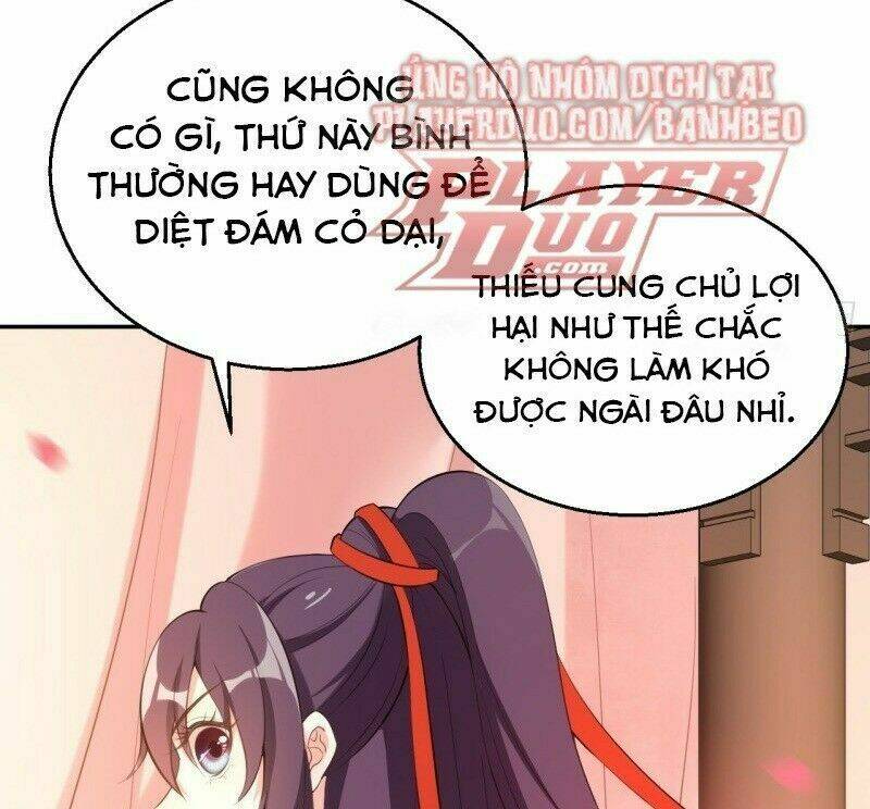 Nữ Tiên Tôn Bận Đào Hôn Chương 13 Ảnh 34
