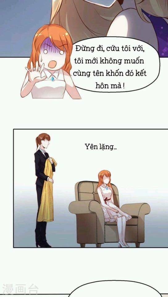 Người Vợ Bí Ẩn Của Tổng Tài Chương 12 Ảnh 25