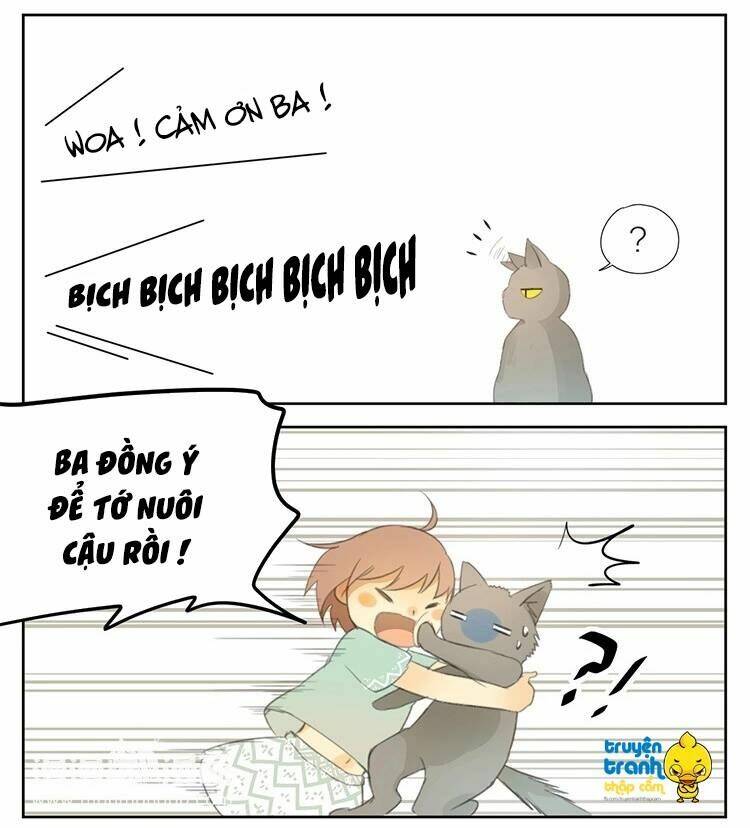 Cứu Mạng ! Loài Mèo Thống Trị Thế Giới Rồi ! Chương 24 Ảnh 15