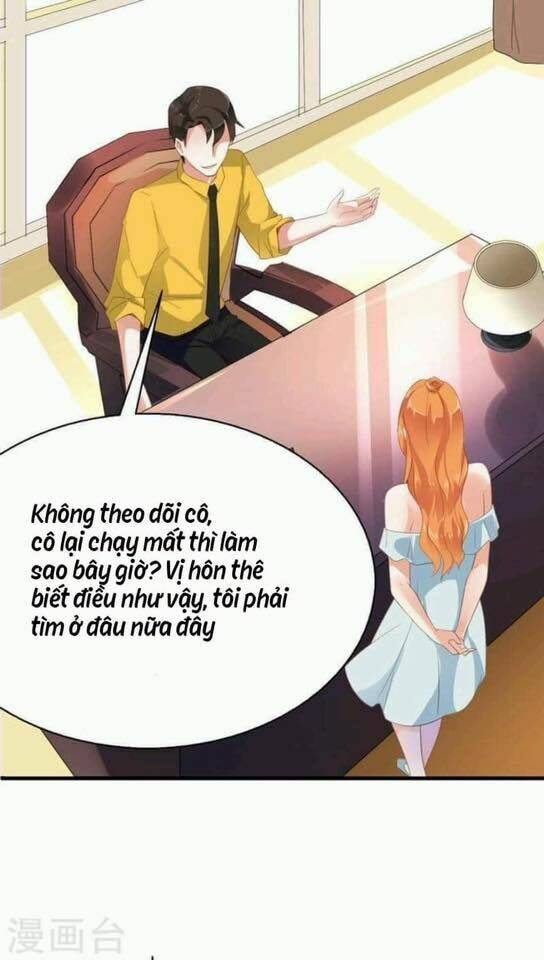 Người Vợ Bí Ẩn Của Tổng Tài Chương 17.5 Ảnh 19