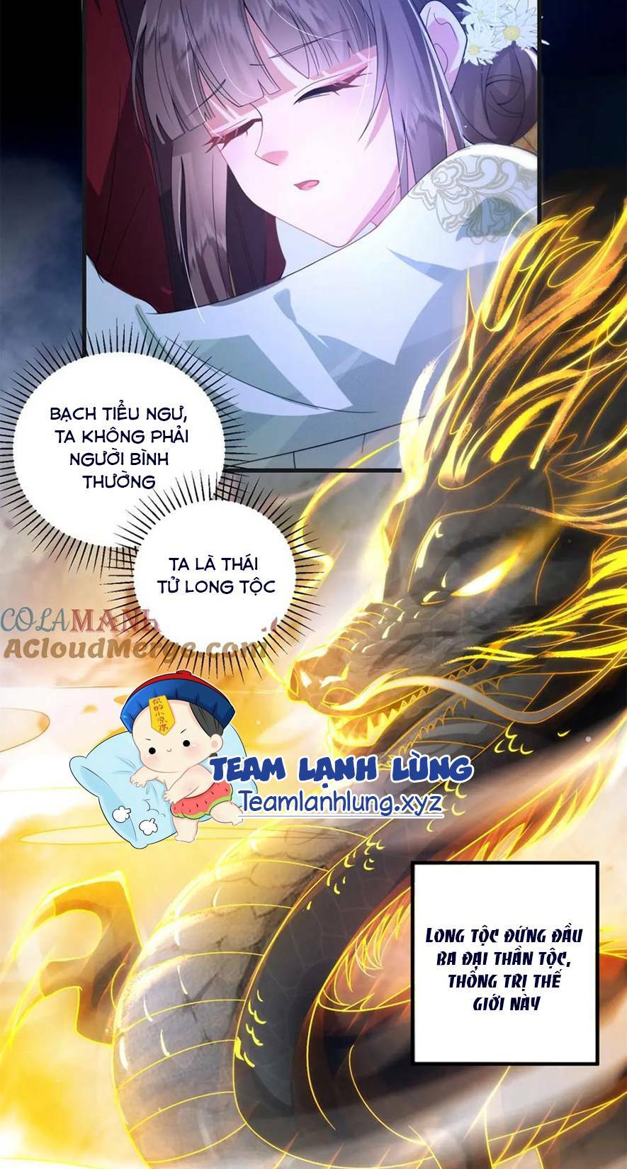 Phượng Hoàng Quy Hồi Chương 15 Ảnh 35