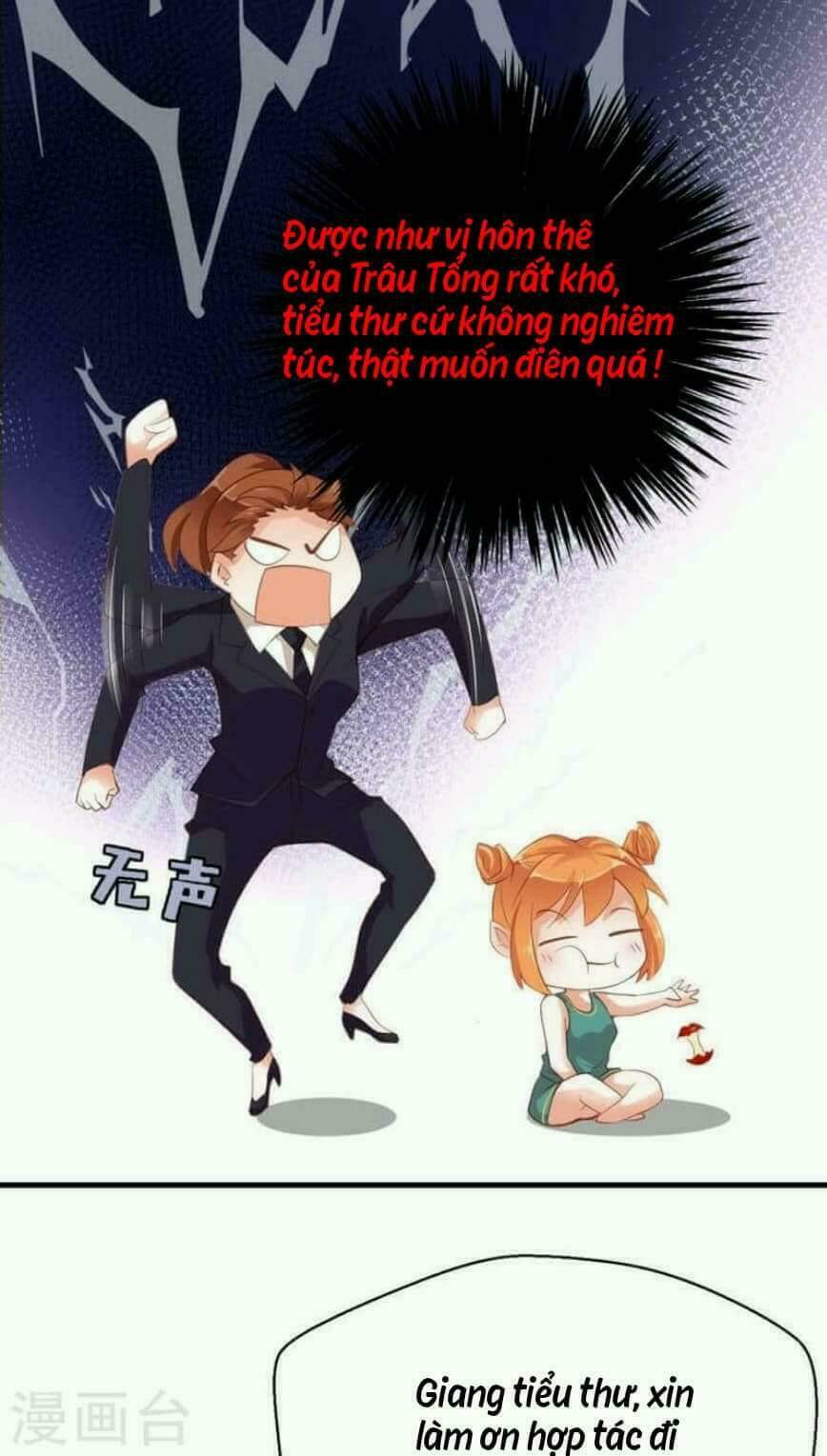 Người Vợ Bí Ẩn Của Tổng Tài Chương 17 Ảnh 18