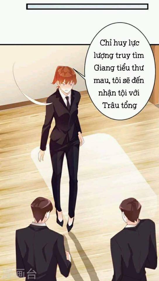 Người Vợ Bí Ẩn Của Tổng Tài Chương 13 Ảnh 23