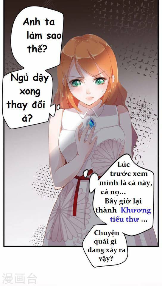 Người Vợ Bí Ẩn Của Tổng Tài Chương 9 Ảnh 22