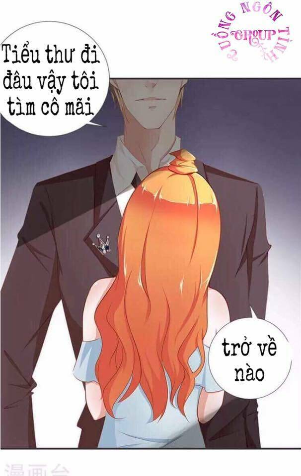 Người Vợ Bí Ẩn Của Tổng Tài Chương 20.5 Ảnh 9