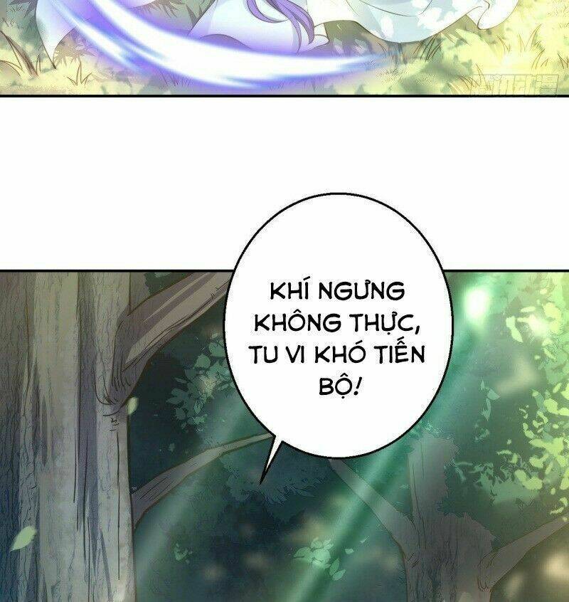 Nữ Tiên Tôn Bận Đào Hôn Chương 16 Ảnh 10