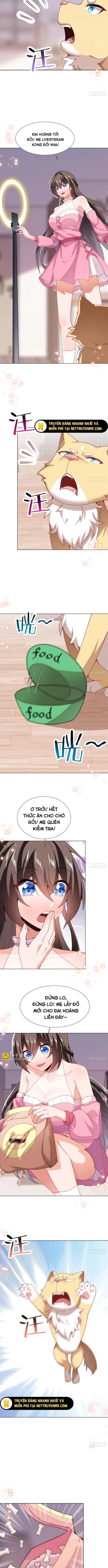 Kế Hoạch Bồi Dưỡng Streamer Của Cẩu Hoàng Chương 14 Ảnh 9