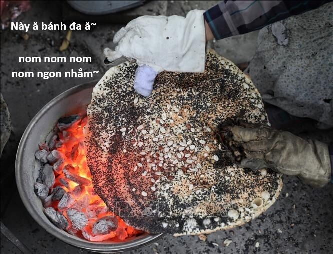 Hổ Đến Chơi Nhà (Puchimasu Miếu) Chương 135 Ảnh 66