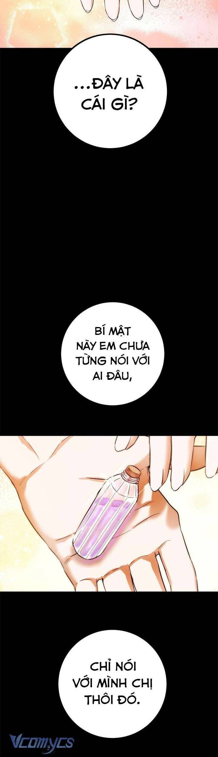 Cuộc Sống Mới Của Công Nương Chương 114 Ảnh 26