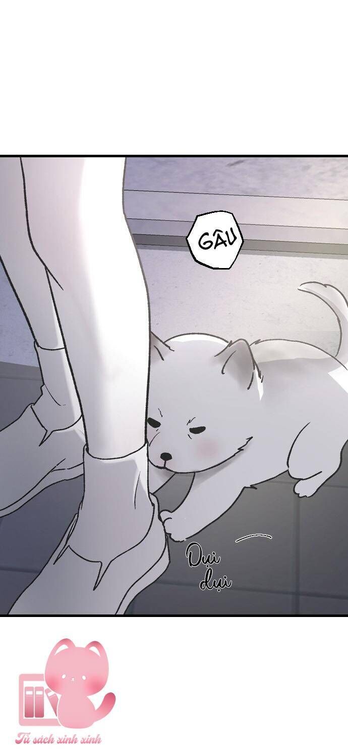 Ba Người Anh Trai Cực Phẩm Của Tôi Chương 68 Ảnh 11