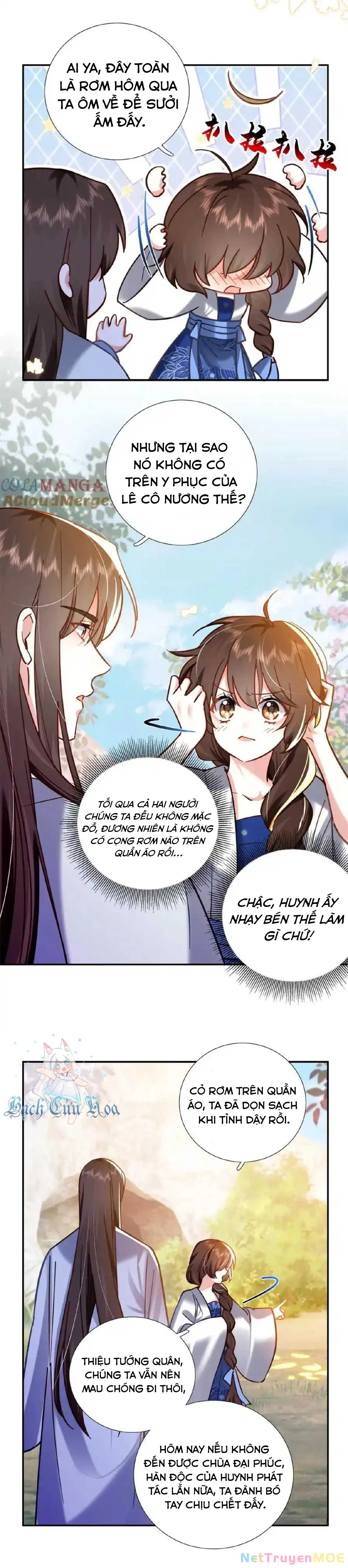 Thiều Quang Mạn Chương 164 Ảnh 4
