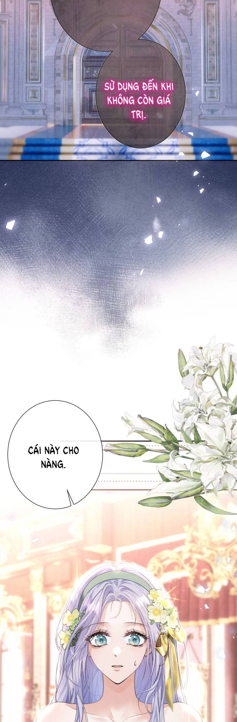 Cô Dâu Của Ác Long Chương 11 Ảnh 8