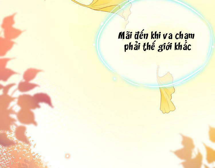 Giai Điệu Của Sự Va Chạm Chương 52 Ảnh 11