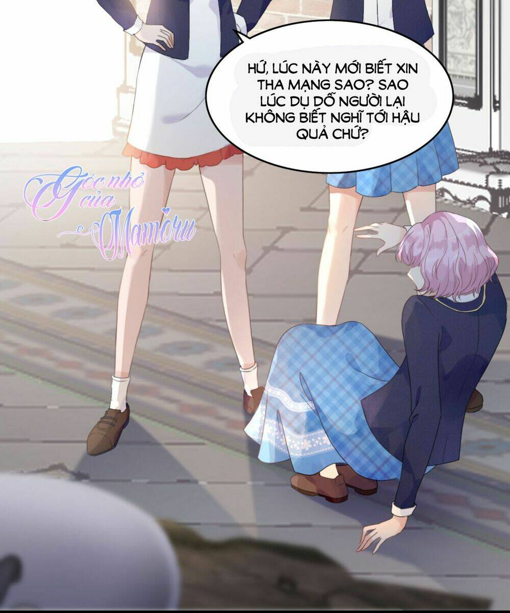 Cô Bé Lọ Lem Của Tôi Không Ăn Chay Chương 2 Ảnh 5