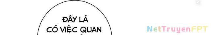 Ta Có Thể Thấy Tỉ Lệ Thành Công Chương 217 Ảnh 11