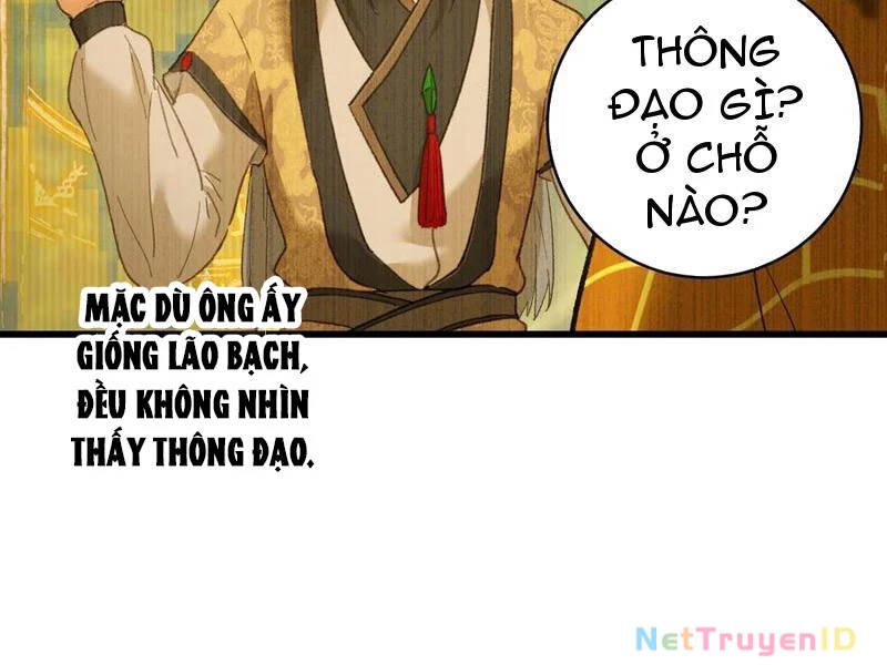 Đại Thừa Kỳ Mới Có Nghịch Tập Hệ Thống Chương 54 Ảnh 101