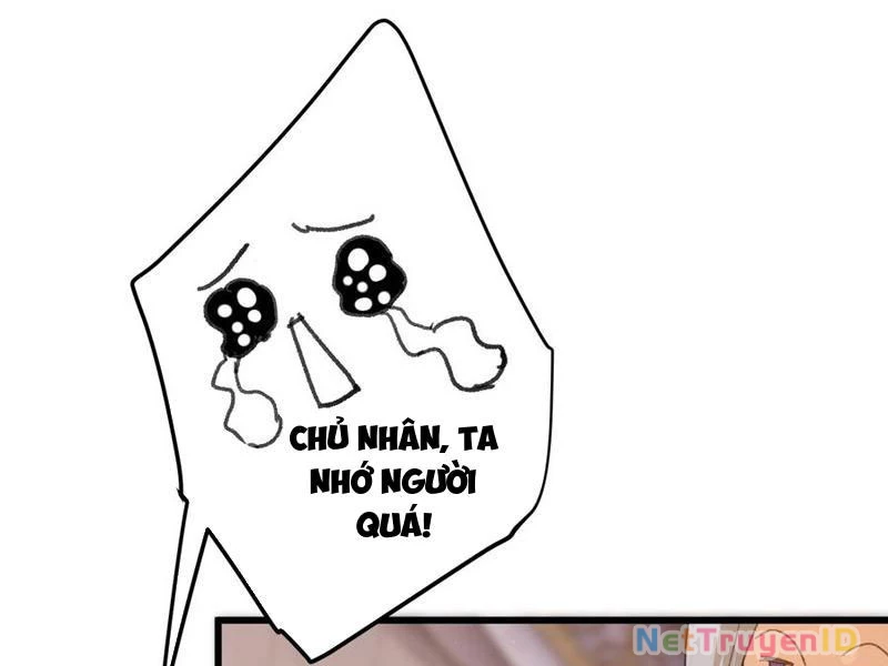 Đại Thừa Kỳ Mới Có Nghịch Tập Hệ Thống Chương 55 Ảnh 53