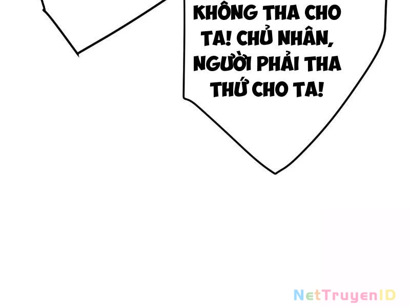 Đại Thừa Kỳ Mới Có Nghịch Tập Hệ Thống Chương 55 Ảnh 56