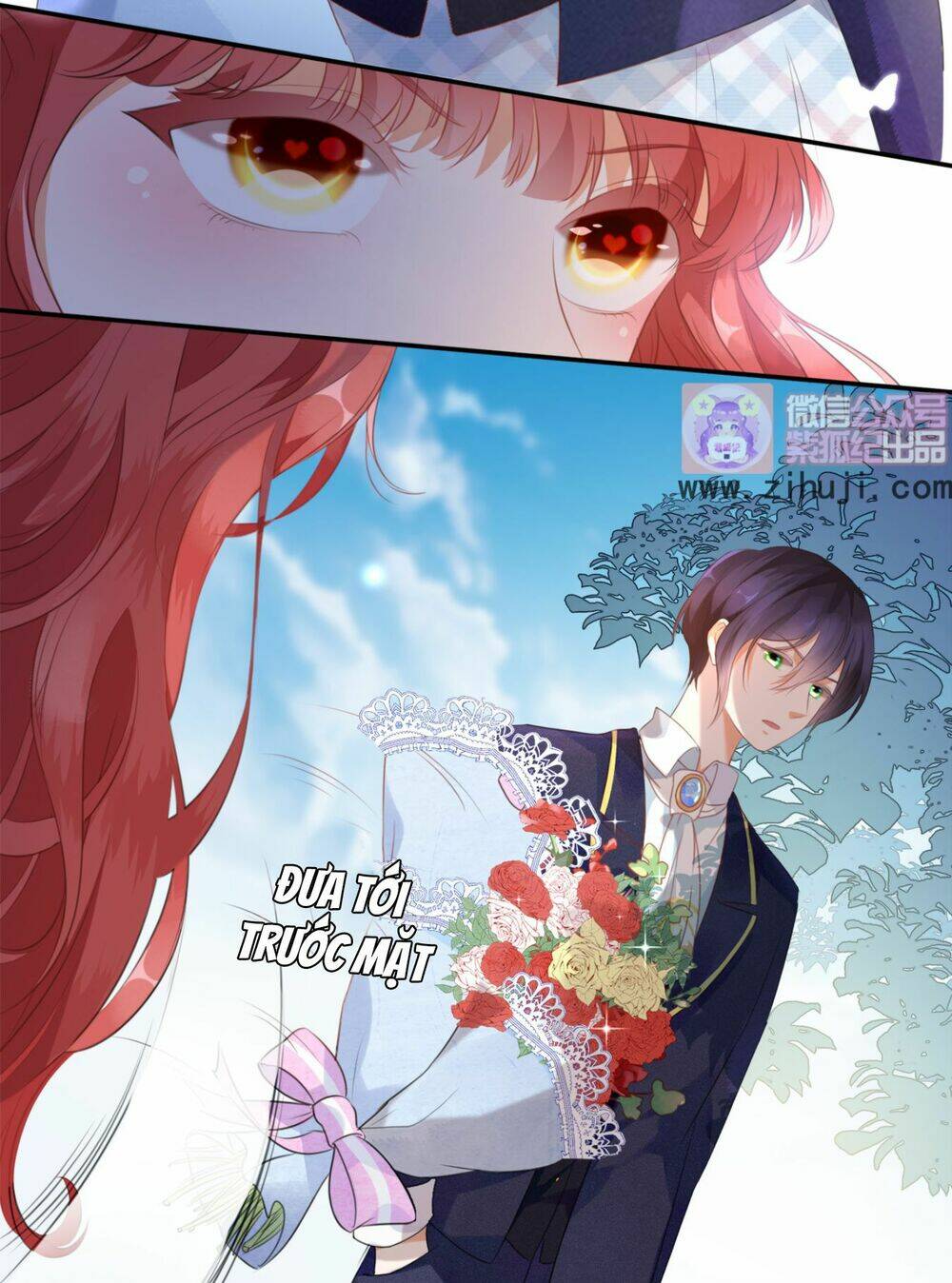 Cô Bé Lọ Lem Của Tôi Không Ăn Chay Chương 1 Ảnh 15