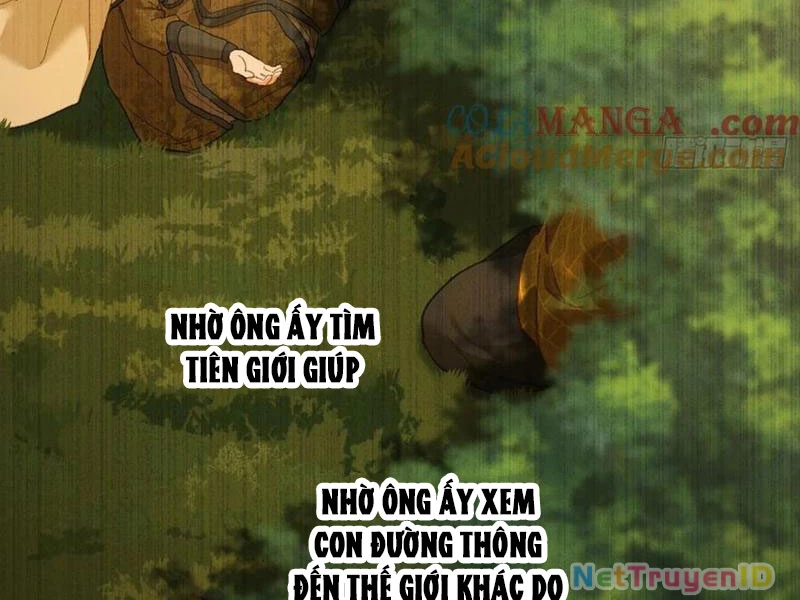Đại Thừa Kỳ Mới Có Nghịch Tập Hệ Thống Chương 54 Ảnh 98