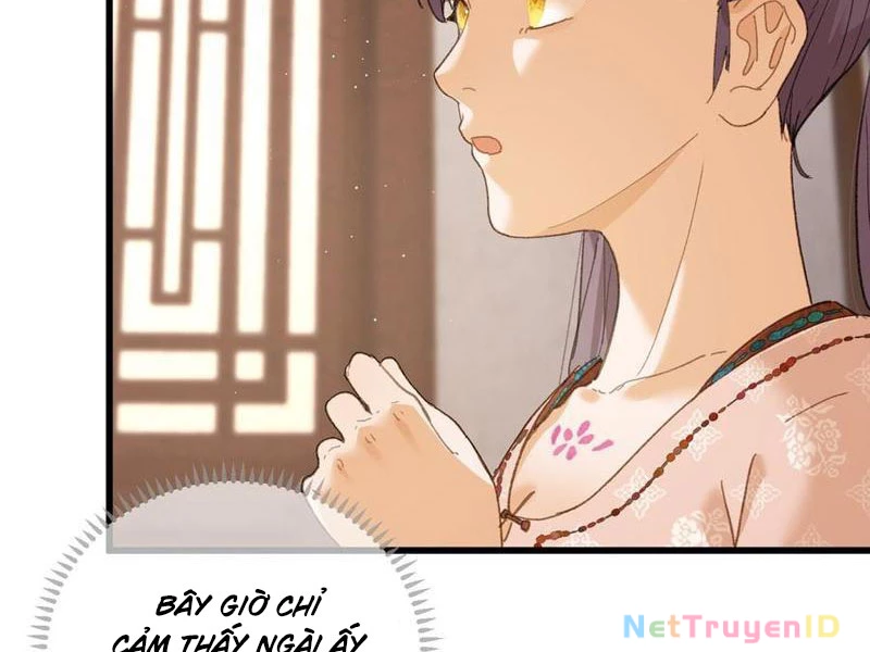 Đại Thừa Kỳ Mới Có Nghịch Tập Hệ Thống Chương 55 Ảnh 162