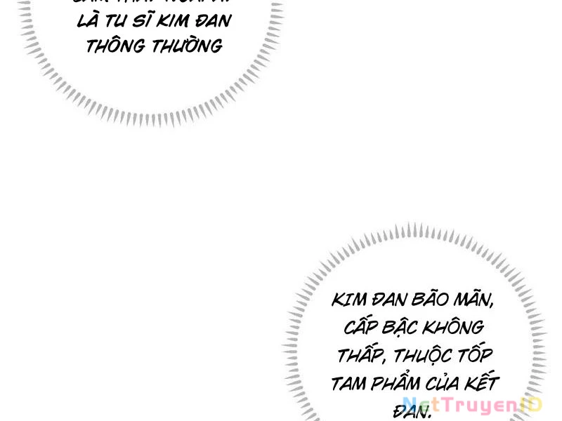 Đại Thừa Kỳ Mới Có Nghịch Tập Hệ Thống Chương 55 Ảnh 163